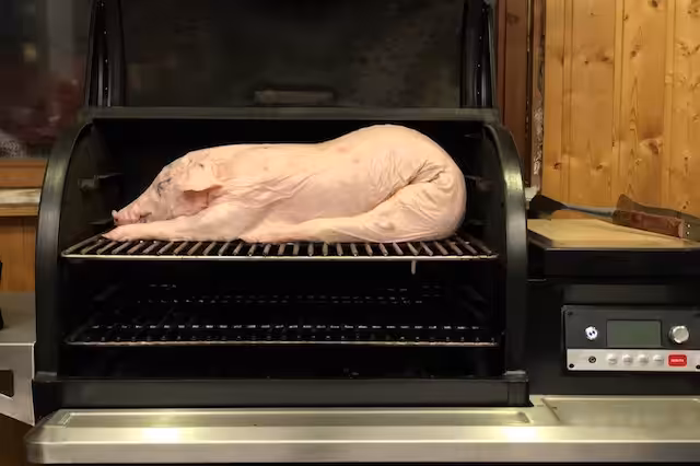  6KG Pattegris prøveligger på min Traeger Timberline