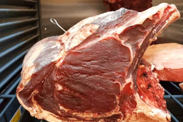 DryAge T-Bone – Den ultimative kød oplevelse