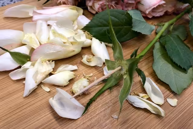Bacon Roser - be my Valantine IMG 1542