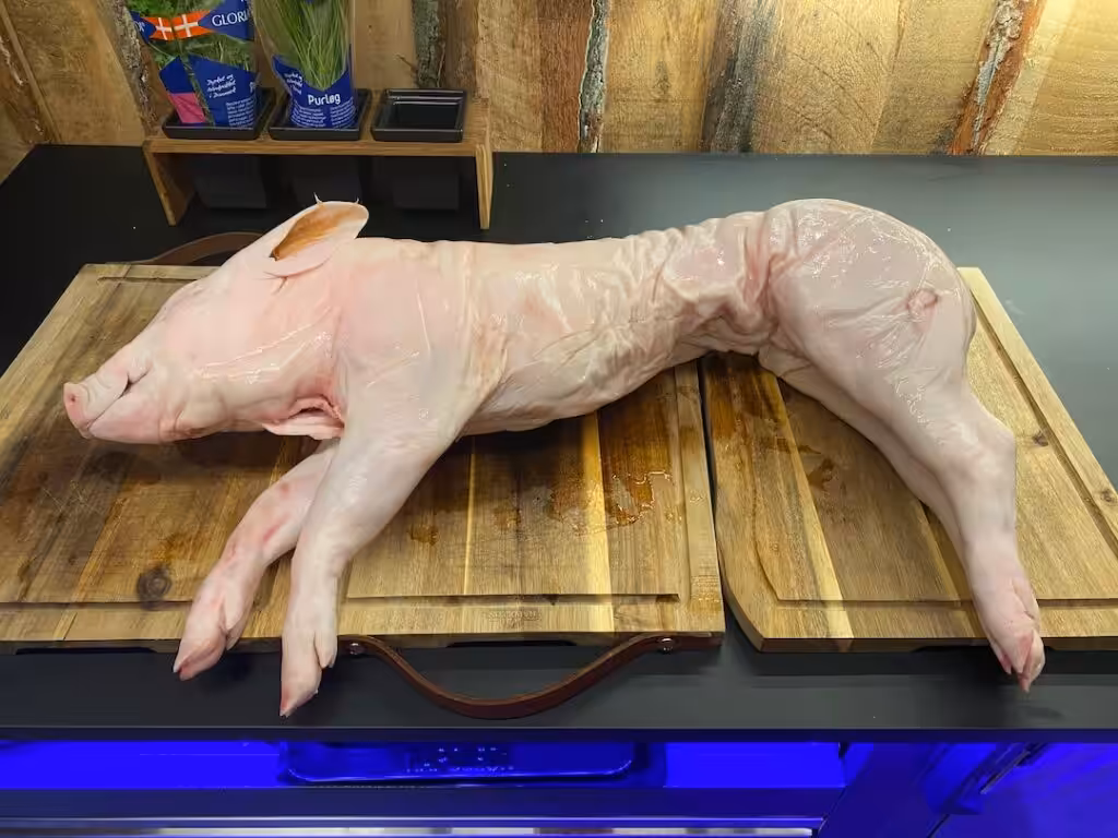 Mini Pattegris klar til at komme på grillen