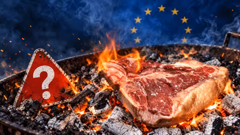 Nye EU-regler: Bliver grillkul og briketter forbudt? Du finder alle svar her!